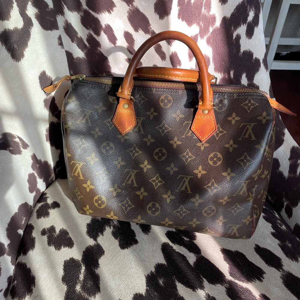 Louis Vuitton Monogram Canvas Briefcase - Brown and Tan